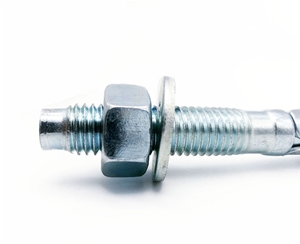 美制車(chē)修壁虎